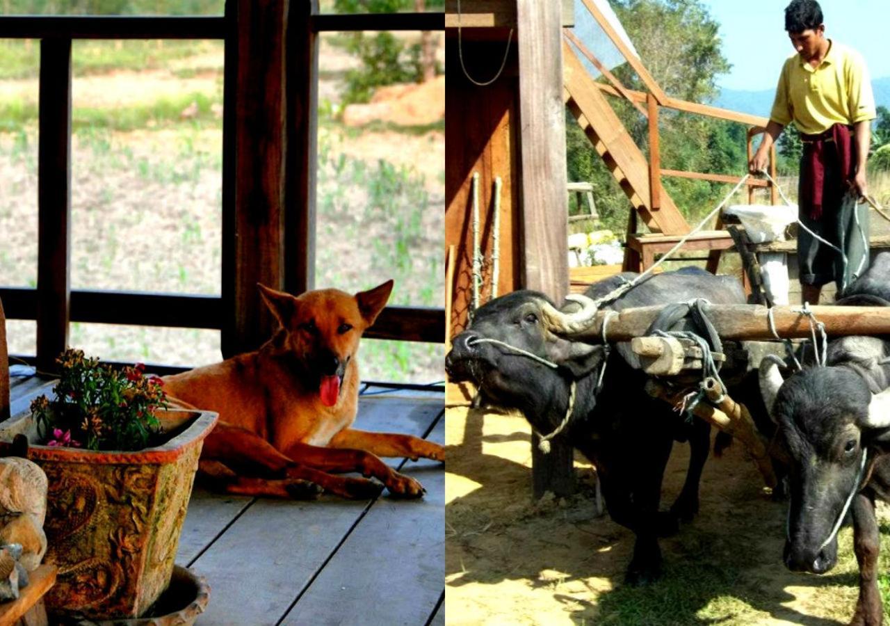 צ'יטוואן Shanta Ghar A Rustic Guesthouse מראה חיצוני תמונה